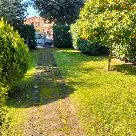 Tiber Domus Trevignano Villa Trevignano Romano
